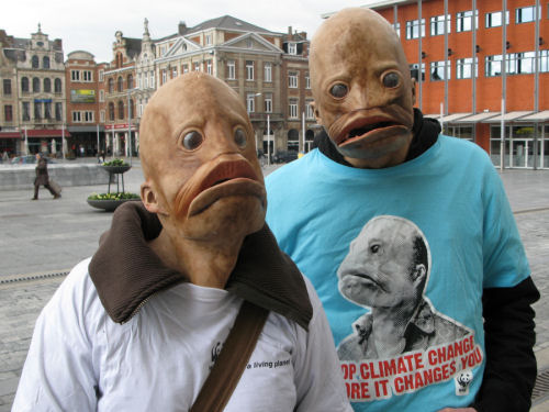 Vismensen gesignaleerd in Leuven