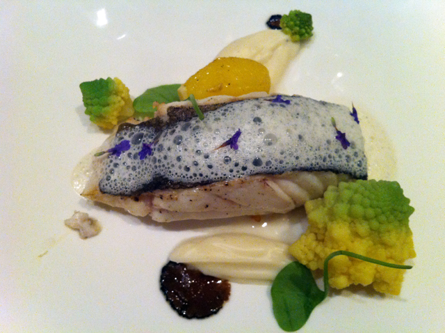 skrei