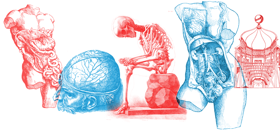 vesalius